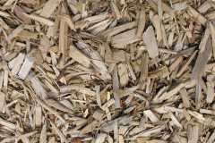 biomass boilers Colan